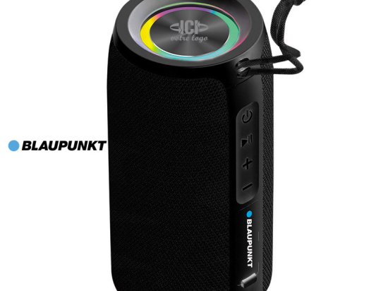 Enceinte haute puissance 30W - BLAUPUNKT